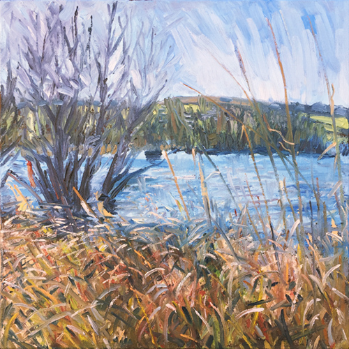 Early Spring at Blagdon Lake, March 2019 by Stuart Nurse