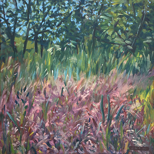 The meadow's edge, June 2017 by Stuart Nurse