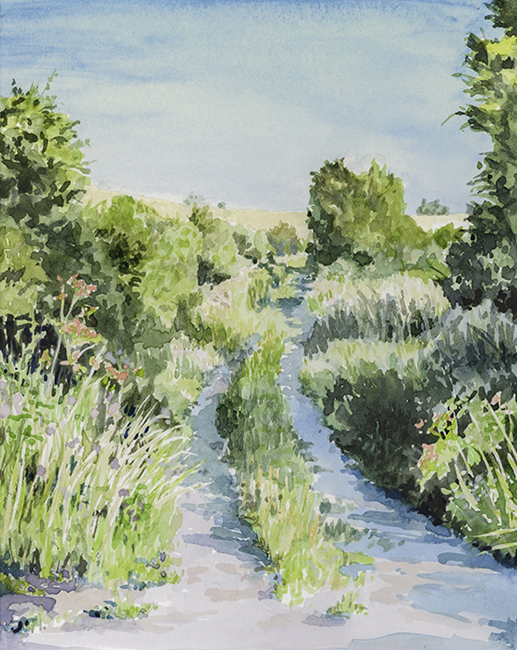 Summer Lane by Julia Vaughan
