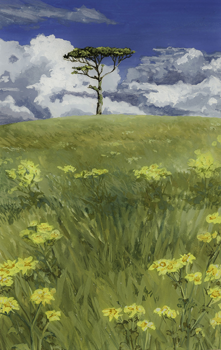 The meadow by Julia Vaughan